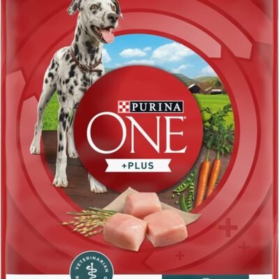 Purina ONE Plus Large Breed Puppy Food Dry Formula - 40 Lb. Bag.