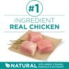 Purina One Plus Digestive Health Formula Dry Dog Food Natural with Added Vitamins, Minerals and Nutrients - 31.1 Lb. Bag - Image 3