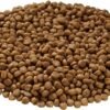 Health Extension Little Bites Chicken & Brown Rice Dry Dog Food (10 lb / 4.5 Kg) - Natural with Probiotics and Superfoods for Teacup, Toy & Small Breeds