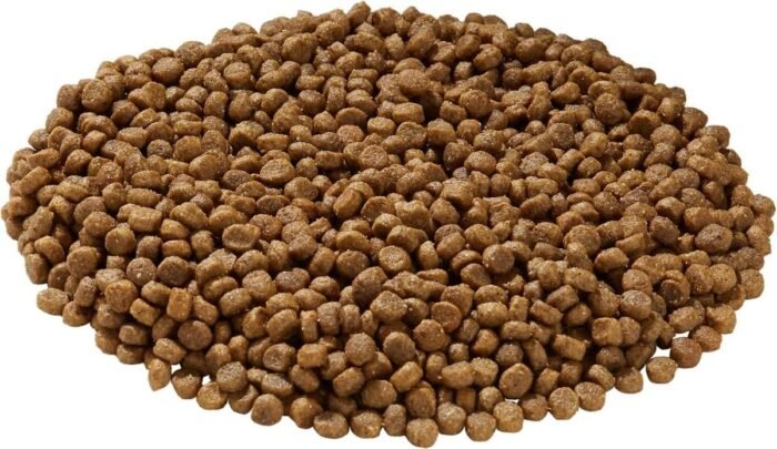 Health Extension Little Bites Chicken & Brown Rice Dry Dog Food (10 lb / 4.5 Kg) - Natural with Probiotics and Superfoods for Teacup, Toy & Small Breeds