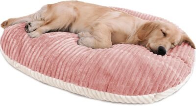 Patas Lague Reversible Orthopedic Dog Bed for Medium Dogs 30''x20'', Memory Foam Supportive Therapy Fillings Deep Sleep Pet Beds with Removable Cover Soft Warm Washable Cat Cuddler Bed Pink