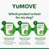 Hip and Joint Supplement for Dogs with Glucosamine, Green Lipped Mussel, Chondroitin, MSM, Omega 3 & Hyaluronic Acid - Joint Support Supplement - for Adult Dogs 300 Tablets - Image 8