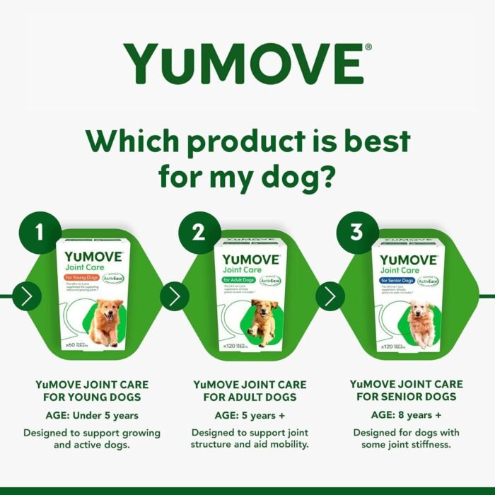 Hip and Joint Supplement for Dogs with Glucosamine, Green Lipped Mussel, Chondroitin, MSM, Omega 3 & Hyaluronic Acid - Joint Support Supplement - for Adult Dogs 300 Tablets