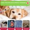Dog UTI Treatment, Xsvseie Urinary Tract Drops for Dogs Natural Urinary Tract Infection Treatment Drops Natural Herbal Supplement with Cranberry Bladder Health for Dogs All Breeds