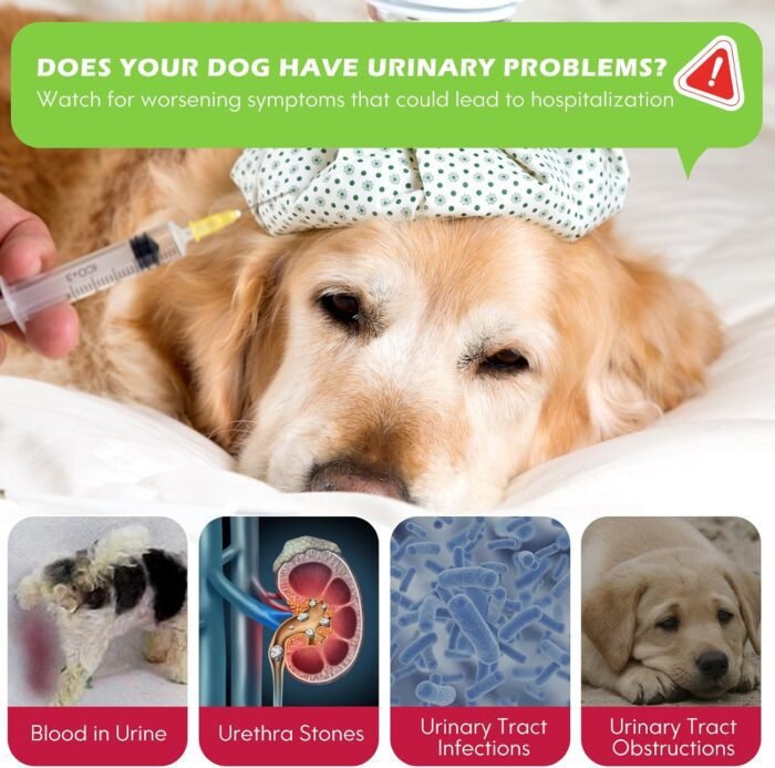Dog UTI Treatment, Xsvseie Urinary Tract Drops for Dogs Natural Urinary Tract Infection Treatment Drops Natural Herbal Supplement with Cranberry Bladder Health for Dogs All Breeds