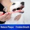 Virbac C.E.T. Enzymatic Toothpaste Eliminates Bad Breath by Removing Plaque and Tartar Buildup Best Pet Dental Care Toothpaste Vanilla Mint Flavor 2.5 Oz Tube - Image 6