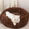 Cat Beds for Indoor Cats Doughnut Dog Bed Kitten Bed Pet Bed Calming Cuter Puppy Bed Small Pet Bed Fluffy Dog Bed Small Round Bed Up to 7 Lbs - Image 2