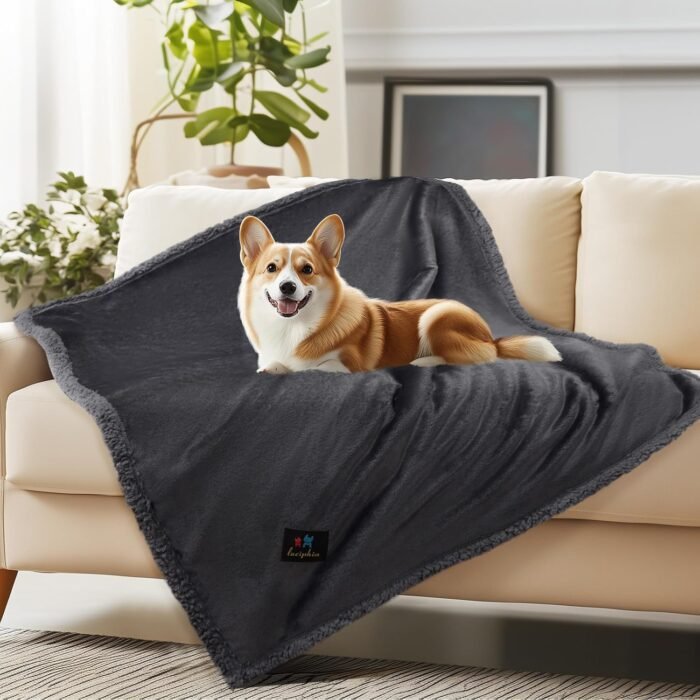 Waterproof Pet Blanket, Liquid Pee Proof Dog Blanket for Sofa Bed Couch, Reversible Sherpa Fleece Furniture Protector Cover for Small Medium Large Dogs Cats, Dark Gray Large（65" x 57"）