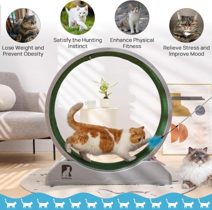 Cat Exercise Wheel, 31.5 Inch Cat Treadmill for Indoor Cats, Cat Running Wheel with Carpeted Runway, Easy to Install & Fitness & Health, Suitable for Most Cats, Plastic Cat Wheel