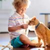 Cat Toys 12Pack Silvervine Chew Stick 12Pack Kitten Treat Catnip Toy Kitty Natural Stuff Catnip for Cleaning Teeth Indoor Dental Snack Interactive - Image 2