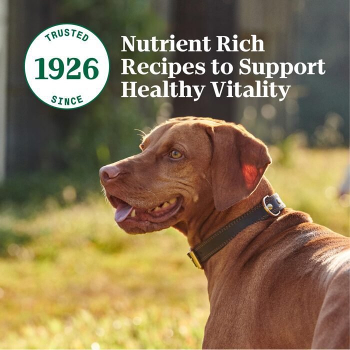 Nutro Natural Choice Cuts In Gravy Wet Dog Food 4 Flavors Variety Pack, 3.5 oz. Trays (36 Count, Pack of 1)