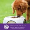 Wellness Complete Health Small Breed Dry Dog Food with Grains, Natural Ingredients, Made in USA with Real Turkey, For Dogs Up to 25 lbs, (Adult, Turkey & Oatmeal, 4-Pound Bag) - Image 10