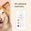 Wisdom Health Panel Premium Dog DNA Kit: Most Comprehensive with 265+ Health Tests, Identify 365+ Dog Breeds, 50+ Traits, Relatives, Ancestry, Genetic Diversity - Pack of 2 - Image 4