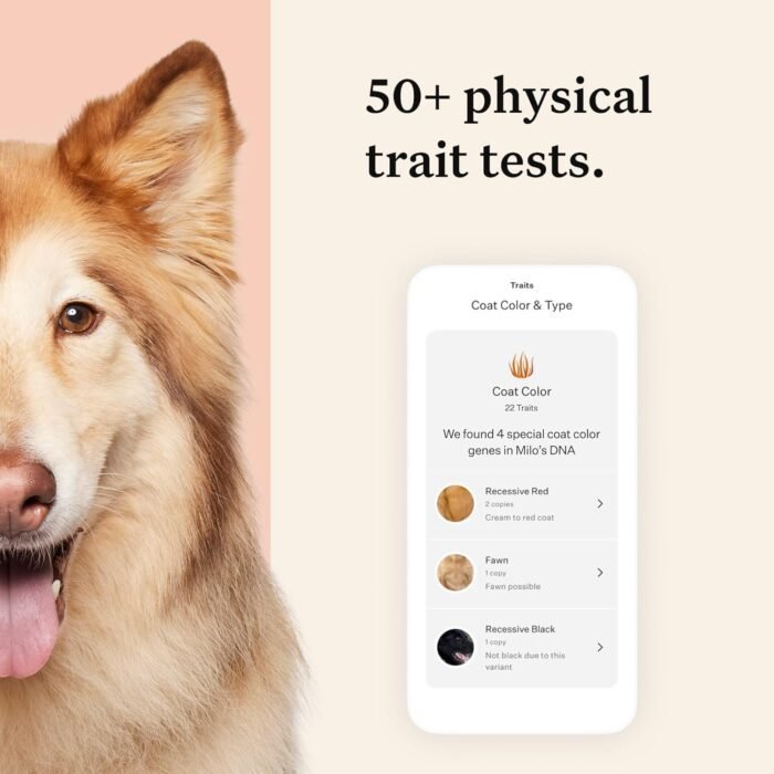 Wisdom Health Panel Premium Dog DNA Kit: Most Comprehensive with 265+ Health Tests, Identify 365+ Dog Breeds, 50+ Traits, Relatives, Ancestry, Genetic Diversity - Pack of 2