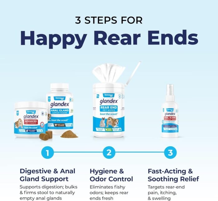 71uZWrvxOCL._AC_SL1500_.jpg Vetnique Labs Glandex Anal Gland Soft Chew Treats with Pumpkin for Dogs Digestive Enzymes, Probiotics Fiber Supplement for Dogs Boot The Scoot (Peanut Butter Chews, 60 Count)