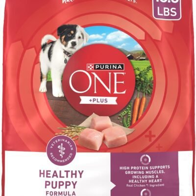 Purina ONE Plus Healthy Puppy Formula High Protein Natural Dry Puppy Food with added vitamins, minerals and nutrients - 16.5 lb. Bag