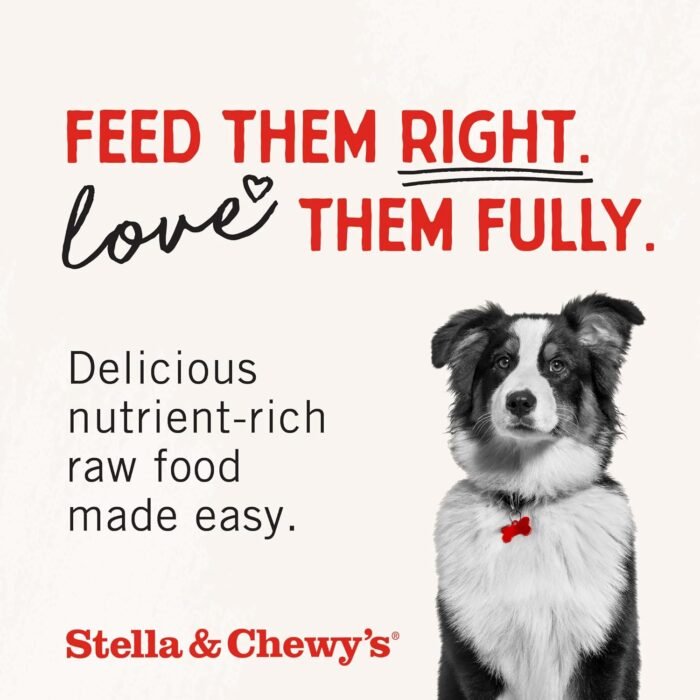 Stella & Chewy's Freeze Dried Raw Dinner Patties – Grain Free Dog Food, Protein Rich Duck Duck Goose Recipe – 25 oz Bag