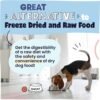 Pawstruck All Natural Air Dried Dog Food with Real Beef, Grain-Free, Made in USA, Non-GMO & Vet Recommended, High Protein Limited Ingredient Full-Feed for All Breeds & Ages, 2lb Bag - Image 5