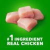 IAMS Small & Toy Breed Adult Dry Dog Food for Small Dogs with Real Chicken, 15 lb. Bag