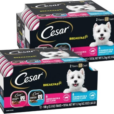 CESAR Soft Wet Dog Food Classic Loaf in Sauce Breakfast Variety Pack, (12) 3.5 oz. Easy Peel Trays, Pack of 2