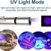 Cat Toys Laser Pointer for Indoor, Rechargeable, 7 Adjustable Wand Red Light Pet Interactive Cat Mouse Toys to Keep Busyfor Kitten Dog Chase Play - Image 3