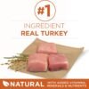 Purina ONE Plus Healthy Weight High-Protein Dog Food Dry Formula - 31.1 lb. Bag - Image 3