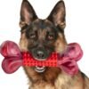 Apasiri Tough Dog Toys for Aggressive Chewers Large Breed, Dog Chew Toys for Aggressive Chewers, Nylon and Rubber, Large Dogs Toys Outdoor Teething
