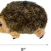 Outward Hound, Hedgehogz Plush Dog Toy, Medium - Image 6