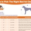 POCBLUE Deluxe Washable Dog Bed for Large Dogs Dog Crate Mat 36 Inch Comfy Fluffy Kennel Pad Anti-Slip for Dogs Up to 60 lbs, 36" x 23", Grey - Image 6