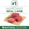 Purina ONE Plus Small Breed Lamb and Rice Formula Dry Dog Food - 7.4 lb. Bag - Image 3