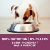 Purina ONE Plus Healthy Puppy Formula High Protein Natural Dry Puppy Food with added vitamins, minerals and nutrients - 16.5 lb. Bag - Image 8