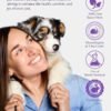 HICC PET Cleaning Deodorizing Wipes for Dogs & Cats, Vet Recommended Nourishes Smoothes Fur Pet Grooming Wipes with Fermented Coconut Oil, Hypoallergenic Dog Wipes for Paws and Butt, Face, Body