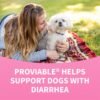 Proviable Digestive Health Supplement Kit with Multi-Strain Probiotics and Prebiotics for Medium to Large Dogs - with 7 Strains of Bacteria, 30 mL Paste and 10 Capsules - Image 11