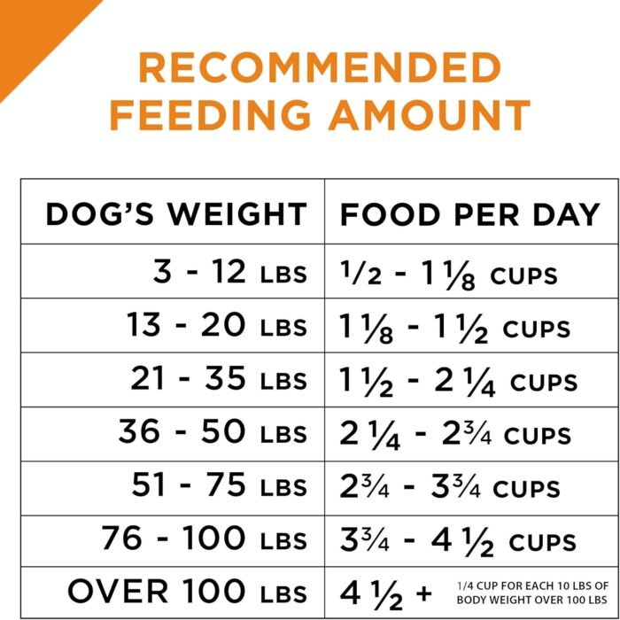 Purina Pro Plan Complete Essentials Shredded Blend Salmon and Rice Dog Food Dry Formula with Probiotics for Dogs - 5 lb. Bag