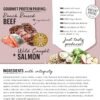 The Honest Kitchen Gourmet Grains Beef & Salmon Recipe Dehydrated Dog Food, 4 lb box
