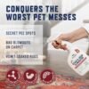 Rocco & Roxie Extreme Stain & Odor Eliminator for Strong Odor, Pet Urine Enzyme Cleaner Destroyer, Stain Remover for Dog Poop and Cat Pee, Enzymatic Carpet Cleaner Spray For Home, Puppy Potty Training - Image 3