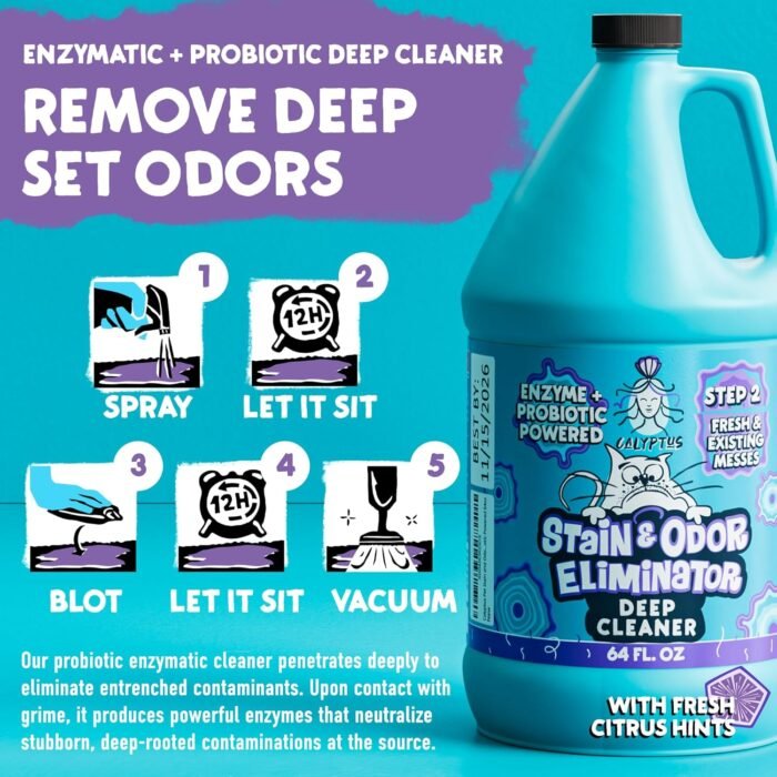 Calyptus Pet Stain and Odor Remover | Orange and Enzyme Cleaner Duo Solution for Pets | 128oz (64oz x 2 Bottles) | Carpet Cleaner and Odor Eliminator for Cat Urine, Dog Pee, and Poop | Pro Strength