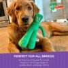 Multipet Gumby Dog Plush Toy - Squeaky Toy for All Dogs - Extra Soft Plush w/ Flexible Legs & Arms - Stuffed Animal for Cuddling & Playing - Cute Dog Pet Toy (9", Green) - Image 7