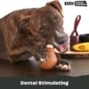 Barkbox Super Chewer Tough Dog Chew Toys for Aggressive Chewers, Dental Stimulating (Turkey - Large) - Image 5