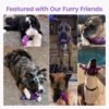 HGB Tough Dog Chew Toys for Aggressive Chewers, Squeaky Indestructible Dog Toy to Keep Them Busy & Reduce Boredom for Medium, Large Breed - Image 7