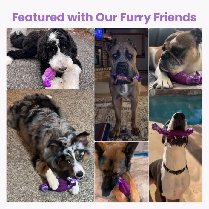 HGB Tough Dog Chew Toys for Aggressive Chewers, Squeaky Indestructible Dog Toy to Keep Them Busy & Reduce Boredom for Medium, Large Breed