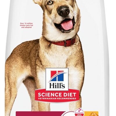 Hill's Science Diet Adult 1-6 Premium Nutrition Dry Dog Food, Chicken & Barley, 35 lb Bag (Pack of 1)