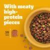 Pedigree High Protein Adult Dry Dog Food Beef and Lamb Flavor Dog Kibble, 18 lb. Bag - Image 8