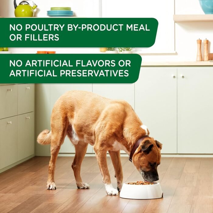 Rachael Ray Nutrish Premium Pate Real Chicken & Apple Recipe Wet Dog Food, 13 oz. Can (Pack of 12)