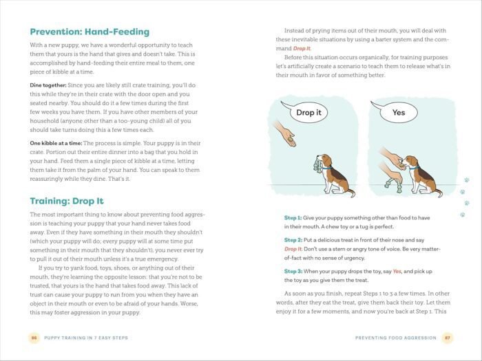 Puppy Training in 7 Easy Steps: Everything You Need to Know to Raise the Perfect Dog