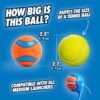Chuckit! Ultra Ball Dog Toy - Medium Bouncy Fetch Balls For Dogs 20-60 lbs - Made from Durable Rubber - Floating Water Pet Toys - Size Medium - 2.5-inch Diameter - Pack of 2 - Image 4