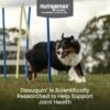 Nutramax Laboratories Dasuquin with MSM Joint Health Supplement for Large Dogs - With Glucosamine, MSM, Chondroitin, ASU, Boswellia Serrata Extract, and Green Tea Extract, 150 Soft Chews - Image 2