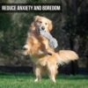 Hyper Pet Doggie Tail Interactive Plush Dog Toys (Wiggles, Vibrates, and Barks, Stimulating Play) - Image 3