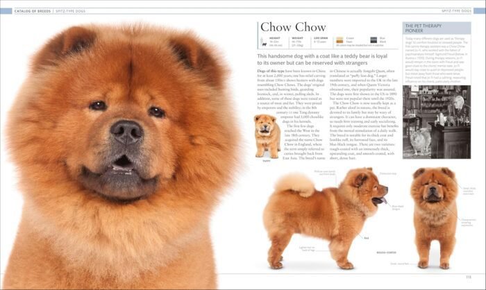 The Dog Encyclopedia (DK Pet Encyclopedias)