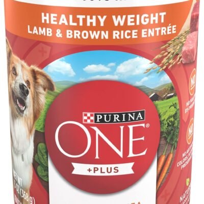 Purina ONE Plus Tender Cuts in Gravy Healthy Weight Lamb and Brown Rice Entree in Wet Dog Food Gravy - (Pack of 12) 13 oz. Cans